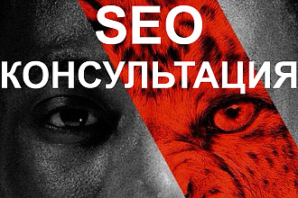 SEO-Консультация по продвижению вашего сайта. Независимая оценка сайта