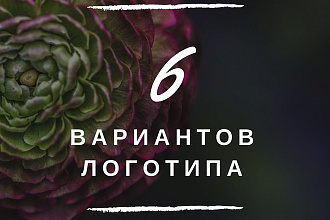 6 вариантов логотипа