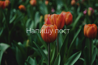 Напишу пост на любую темы. Свои работы предоставлю