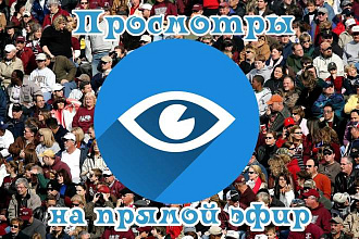 Зрители для прямого эфира Инстаграм