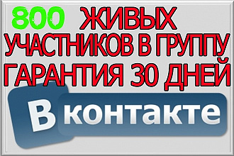 800 живых участников в группу ВК