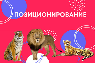 Разработаю позиционирование для вашего продукта, услуги, компании