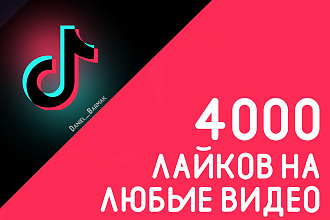 Лайки в Tik Tok на любые видео
