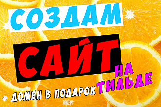 Создам сайт на Тильде. Домен и консультация в подарок
