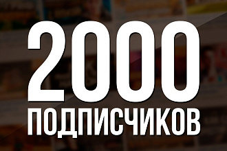 2000 подписчиков в вашу группу или на страницу vk