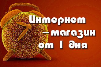 Интернет-магазин с системой оплаты