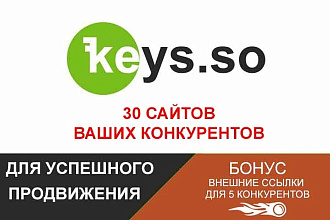 Все важные данные 30-ти конкурентов из Keys. so, кейсо + букварикс