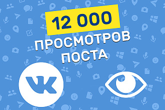 12000 просмотров постов в ВК. Живыми людьми