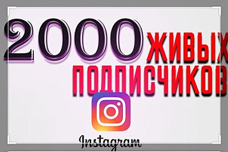 Живых 2000 подписчиков и лайки
