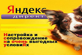Настрою контекстную рекламу Яндекс Директ. Аудит сайта бесплатно