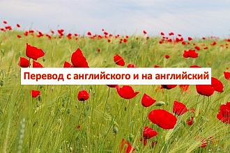 Перевод с английского и на английский с аудио или видео