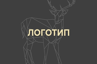 Дизайн логотипа