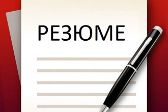 Напишу для вас резюме