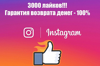 3000 лайков на фото в Instagram. Только от живых исполнителей