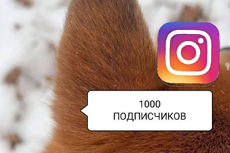 1000 подписчиков в Instagram. Гарантия. Выгодное предложение
