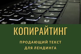 Текст для бизнеса