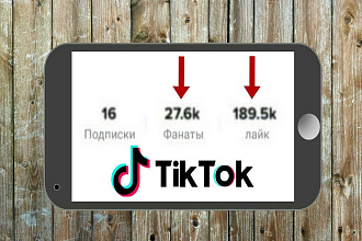 Подписчики в Тик-Ток Гарантия