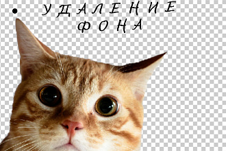 Удаление фона