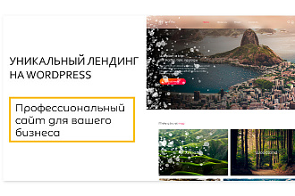 Лендинг для вашего бизнеса + поддержка сайта