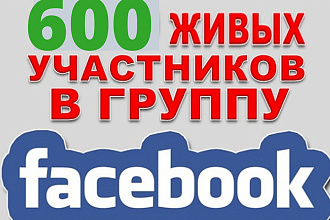 600 подписчиков в паблике на Facebook
