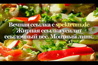 Мощная ссылка с сайта spekt rum.de