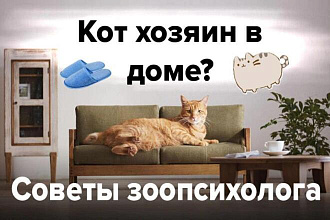 Сделаю 2 варианта превью заставки для видео на YouTube