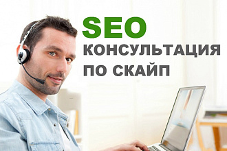 Проведу SEO-консультацию по Скайп (1час)