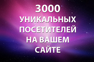 Уникальные посетители 3000