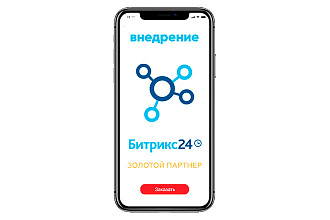 Базовое внедрение Битрикс24. CRM