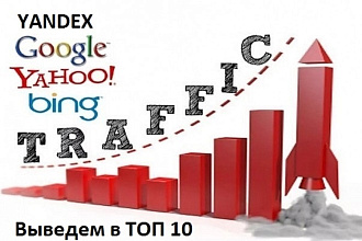 Выведу Ваш сайт в ТОП 10 От 40 до 300 качественных вечных ссылок