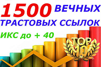 1500 качественных вечных трастовых профильных ссылок на сайт. Отчет