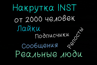 Раскрутка INST