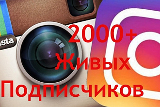 Раскрутка подписчиков в instagram