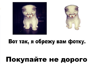 Удалю фон с картинки