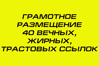 Грамотное размещение 40 вечных, жирных, трастовых ссылок