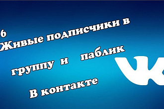 Добавлю 350 ЖИВЫХ подписчиков в группу или паблик