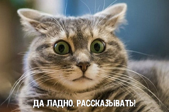 Рассказы, сказки
