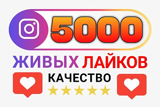 5000 качественных лайков в Instagram. Живые исполнители
