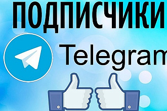 Привлеку 1000 подписчиков в Telegram