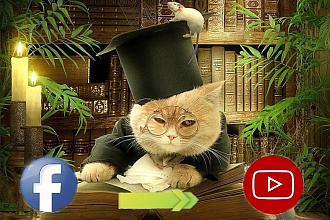 Трафик на Ваши видео в Youtube, размещу в паблике Фейсбук