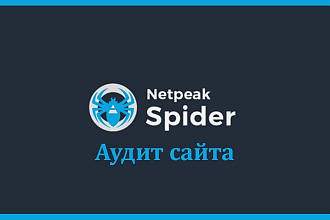 SEO-анализ сайта с помощью программы Netpeak Spider 3.0