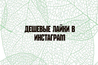 Лайки в Instagram 4000