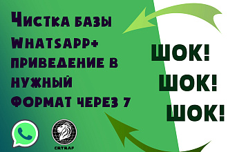 Чистка базы номеров Whatsapp + приведение в формат 7