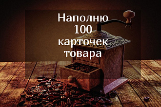 Выполняю наполнение магазина товаром