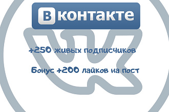 Раскрутка Вконтакте - 250 живых подписчиков в группу