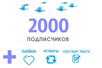 Сделаю 2000 подписчиков в Twitter
