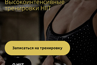 Создаю качественные лендинги за минимальное время
