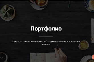 Создам уникальное и эффектное портфолио на Тильде