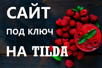 Сайт под ключ на TILDA