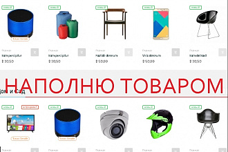 Наполню интернет-магазин товаром